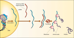 thumbnail of dbpedia resource