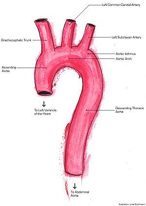 thumbnail of dbpedia resource