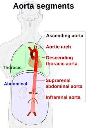 thumbnail of dbpedia resource