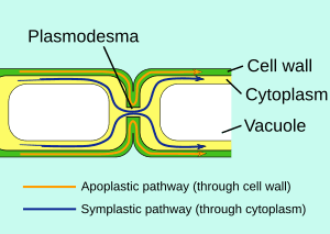 thumbnail of dbpedia resource