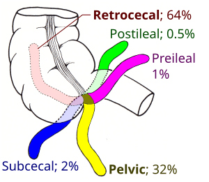 thumbnail of dbpedia resource