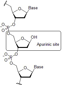 thumbnail of dbpedia resource