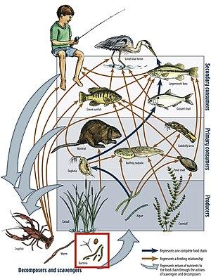 thumbnail of dbpedia resource