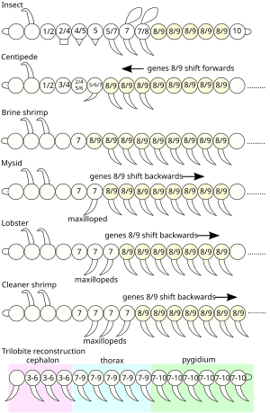 thumbnail of dbpedia resource