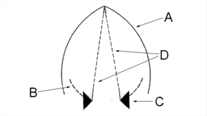 thumbnail of dbpedia resource