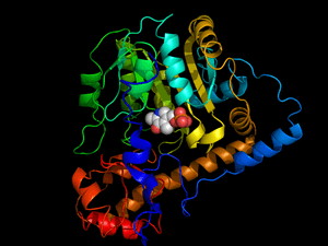 thumbnail of dbpedia resource