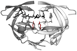 thumbnail of dbpedia resource