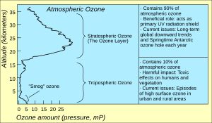 thumbnail of dbpedia resource