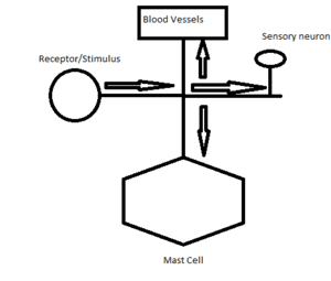 thumbnail of dbpedia resource