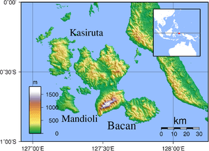 thumbnail of dbpedia resource