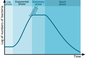 thumbnail of dbpedia resource