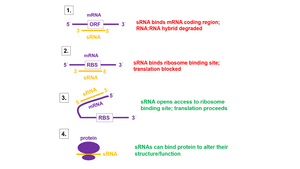 thumbnail of dbpedia resource