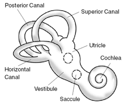 thumbnail of dbpedia resource