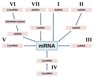 thumbnail of dbpedia resource