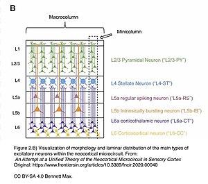 thumbnail of dbpedia resource