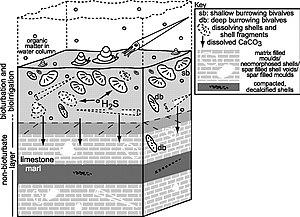 thumbnail of dbpedia resource