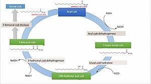 thumbnail of dbpedia resource