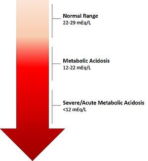 thumbnail of dbpedia resource