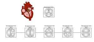 thumbnail of dbpedia resource