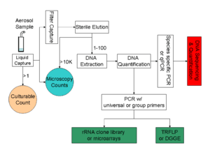 thumbnail of dbpedia resource