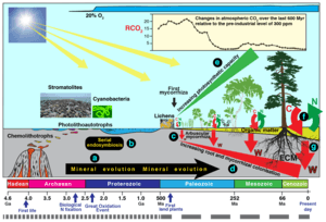 thumbnail of dbpedia resource