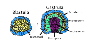 thumbnail of dbpedia resource