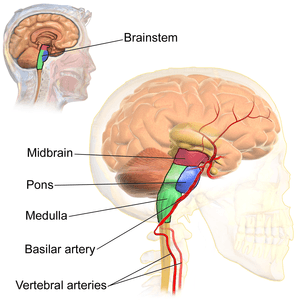 thumbnail of dbpedia resource