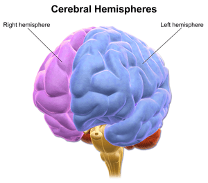 thumbnail of dbpedia resource