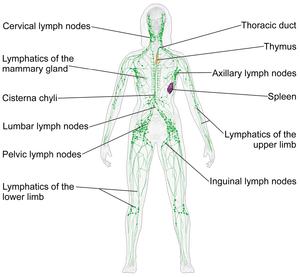 thumbnail of dbpedia resource