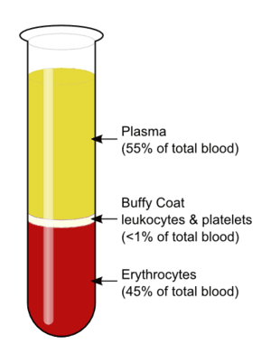 thumbnail of dbpedia resource