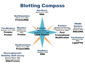 thumbnail of dbpedia resource