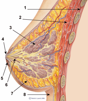 thumbnail of dbpedia resource