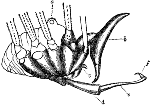 thumbnail of dbpedia resource