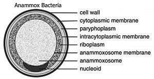 thumbnail of dbpedia resource