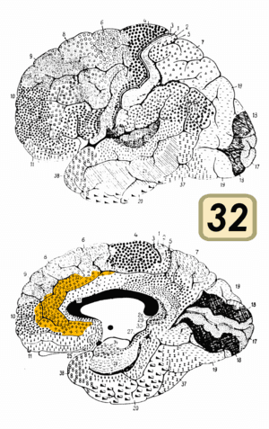 thumbnail of dbpedia resource