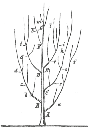 thumbnail of dbpedia resource