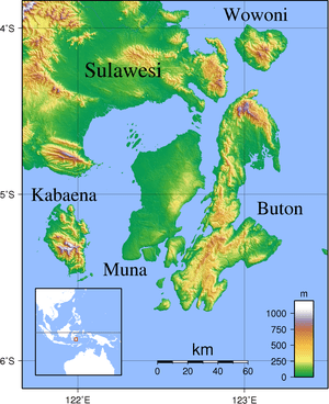 thumbnail of dbpedia resource