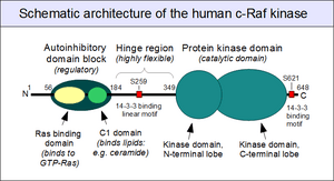 thumbnail of dbpedia resource