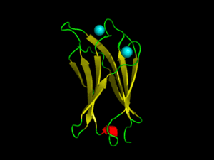 thumbnail of dbpedia resource