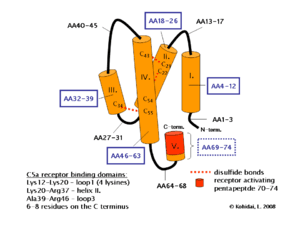 thumbnail of dbpedia resource