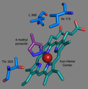 thumbnail of dbpedia resource