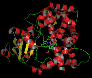 thumbnail of dbpedia resource