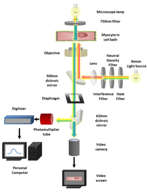 thumbnail of dbpedia resource