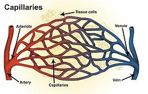 thumbnail of dbpedia resource