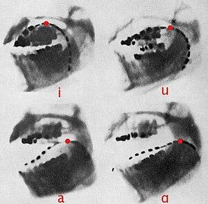 thumbnail of dbpedia resource