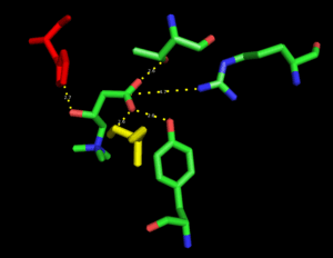 thumbnail of dbpedia resource