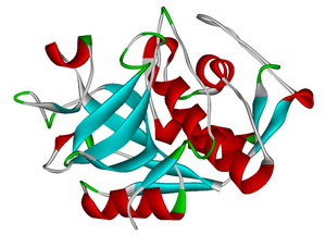 thumbnail of dbpedia resource