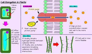 thumbnail of dbpedia resource