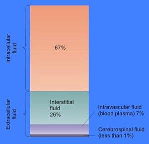 thumbnail of dbpedia resource