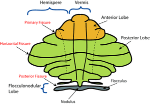 thumbnail of dbpedia resource